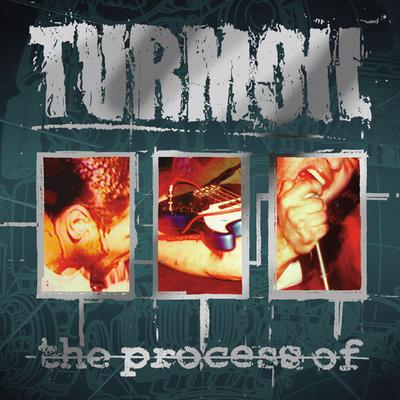 Playing Dead By Turmoil's cover