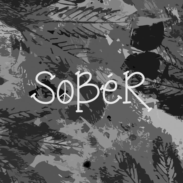 Sober's avatar image