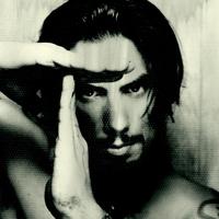 Dave Navarro's avatar cover