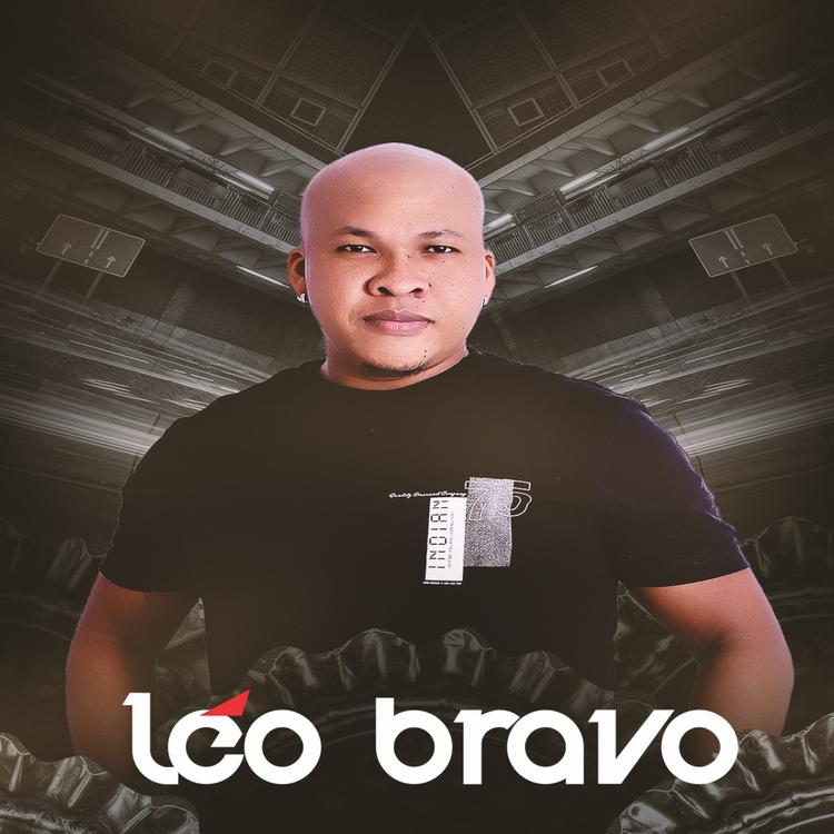 Leo Bravo's avatar image