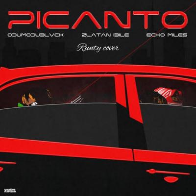 Picanto cover's cover