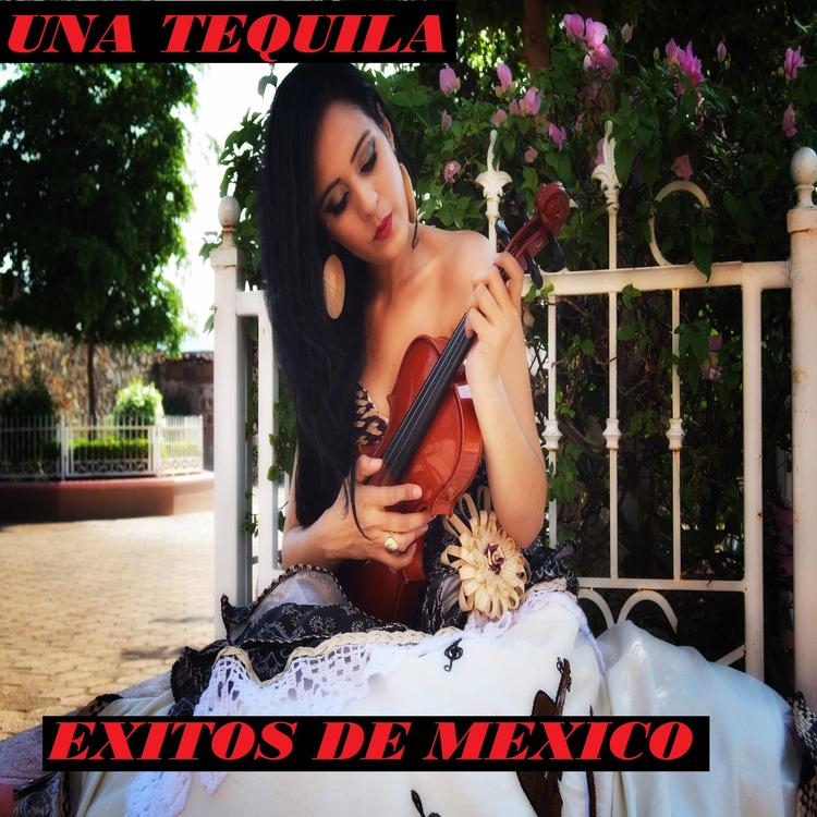 Exitos De Mexico's avatar image