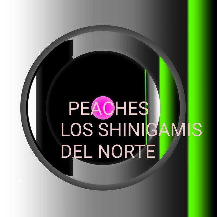 Los Shinigamis del Norte's avatar image