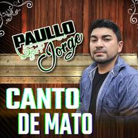 Paullo Jorge's avatar cover