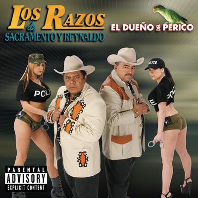 Flaquitas Y Gorditas (Album Version)'s cover