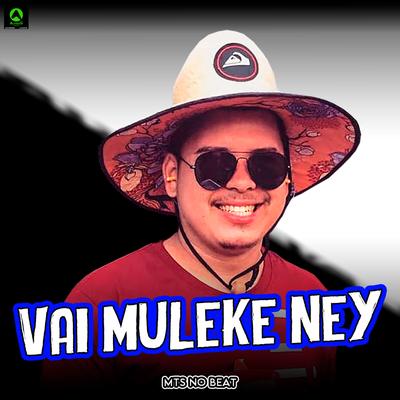 Vai Muleke Ney (feat. Mc Delux) By MTS No Beat, Alysson CDs Oficial, Mc Delux's cover