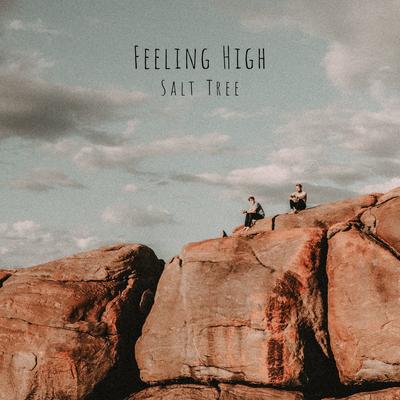 Feeling High By Salt Tree's cover