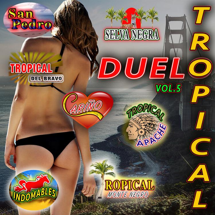 Duelo tropical's avatar image