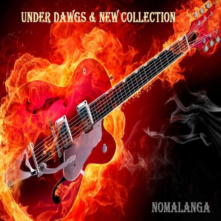 Under Dawgs & New Collection's avatar image