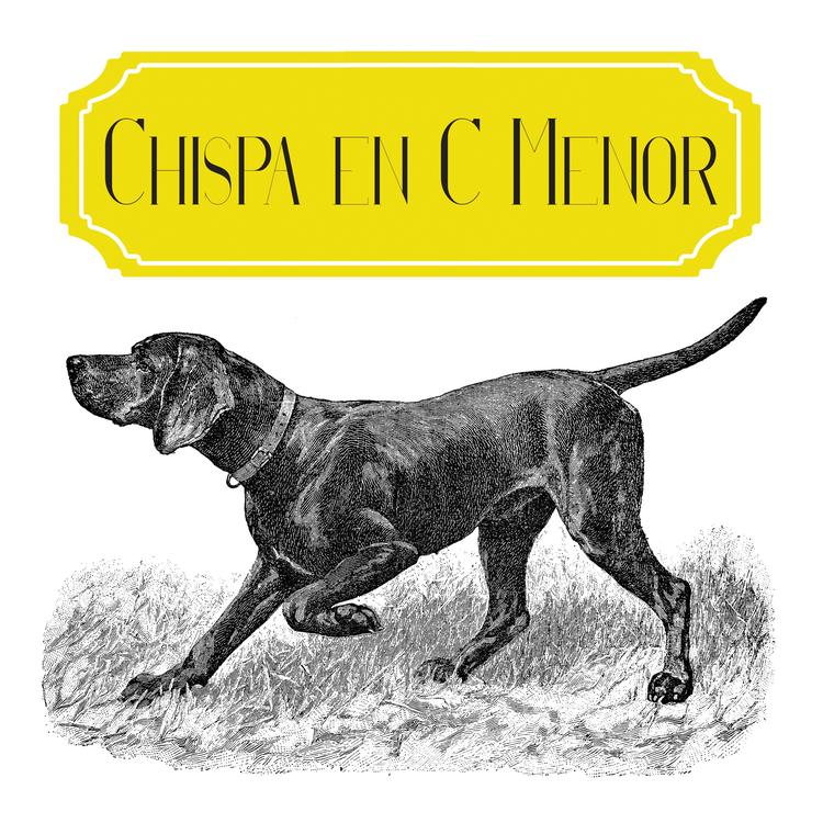 Chispa's avatar image