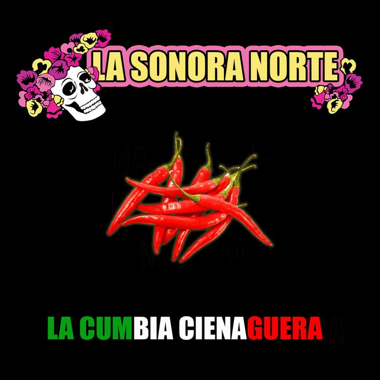 La Sonora Norte's avatar image