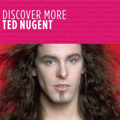 Stormtroopin' By Ted Nugent's cover