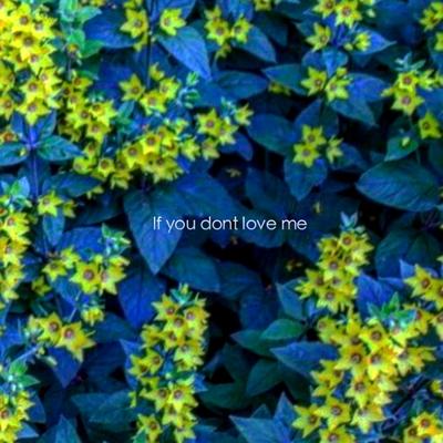 If You Don't Love Me's cover