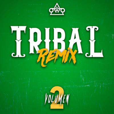 Tribal Remix, Vol. 2's cover