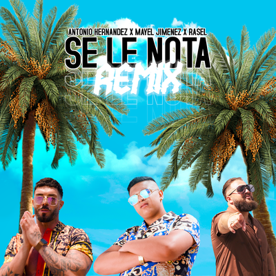 Se Le Nota (Remix)'s cover