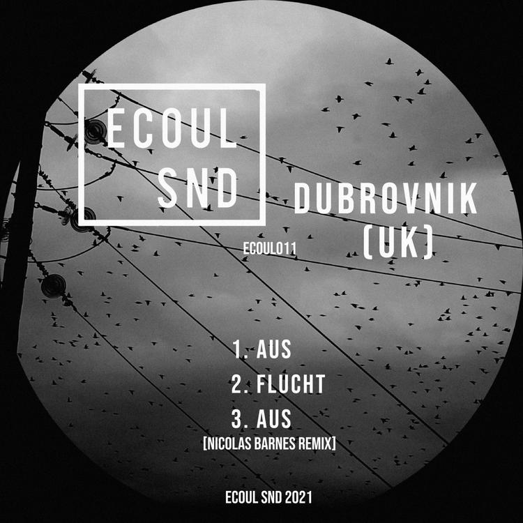 Dubrovnik (UK)'s avatar image