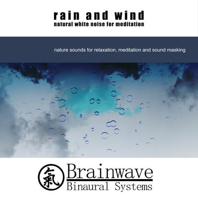 Rain Escape By Brainwave Binaural Systems's cover