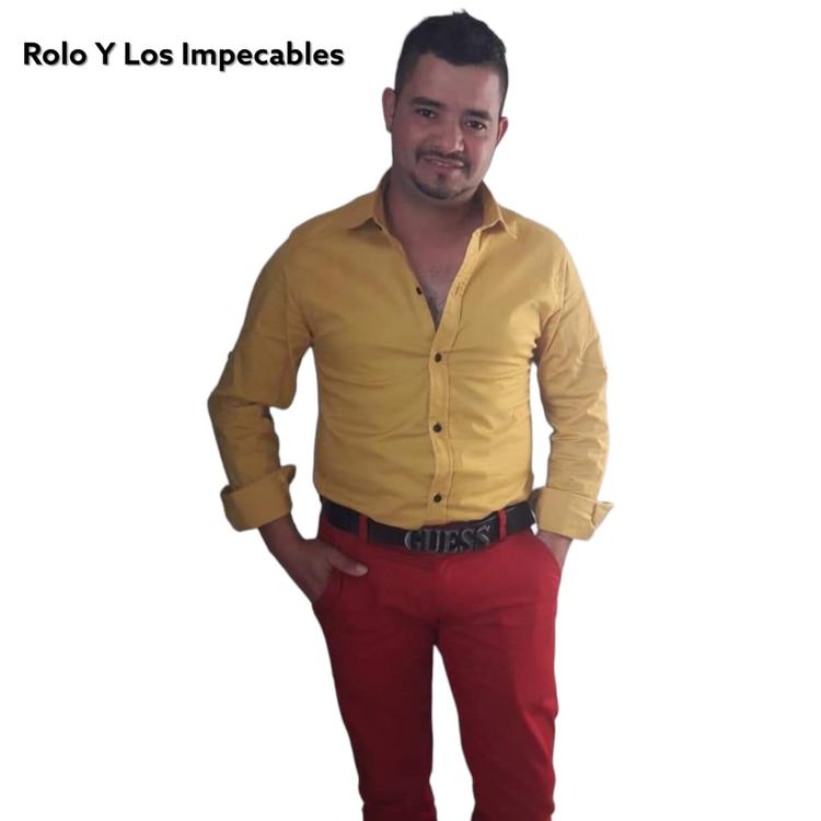 Rolo y Los Impecables's avatar image