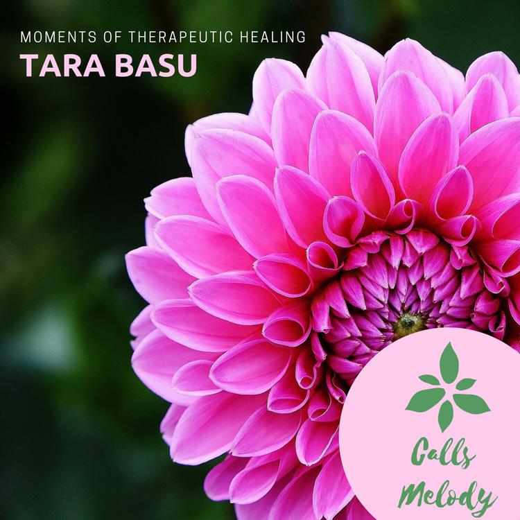 Tara Basu's avatar image