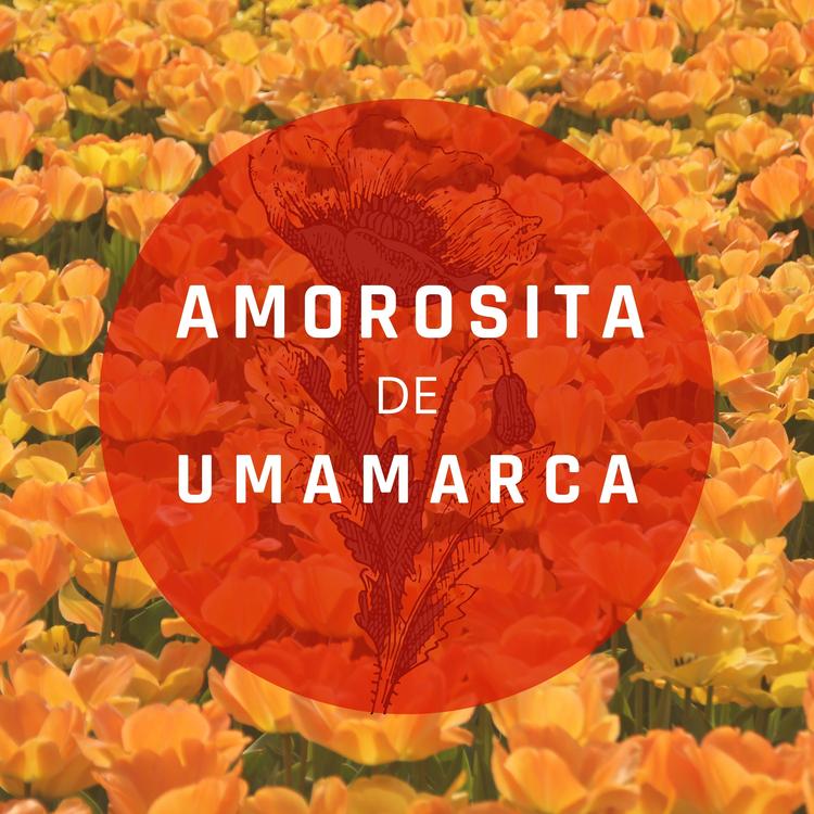 Amorosita De Umamarca's avatar image