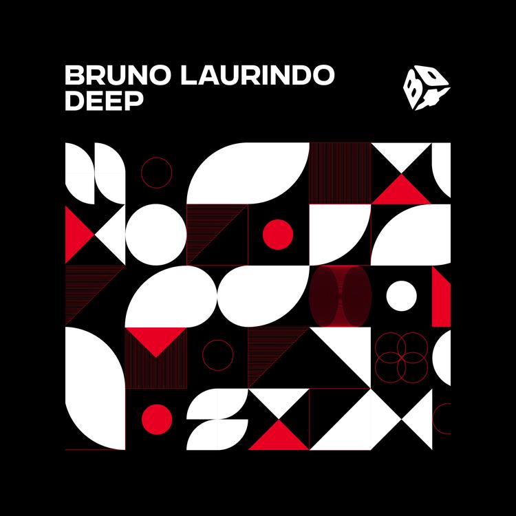 Bruno Laurindo's avatar image