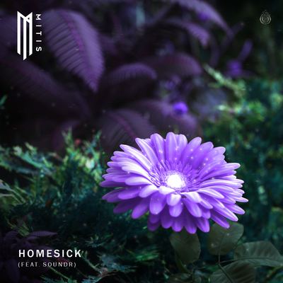 Homesick (feat. SOUNDR) By SOUNDR, MitiS's cover