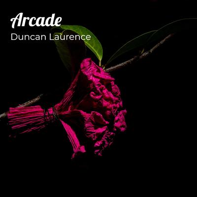 Arcade By Duncan Laurence's cover