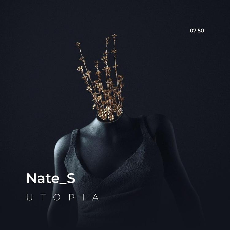 Nate_S's avatar image