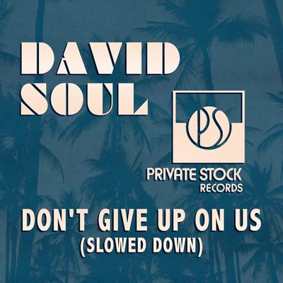 Don't Give Up On Us (Slowed Down) By David Soul's cover