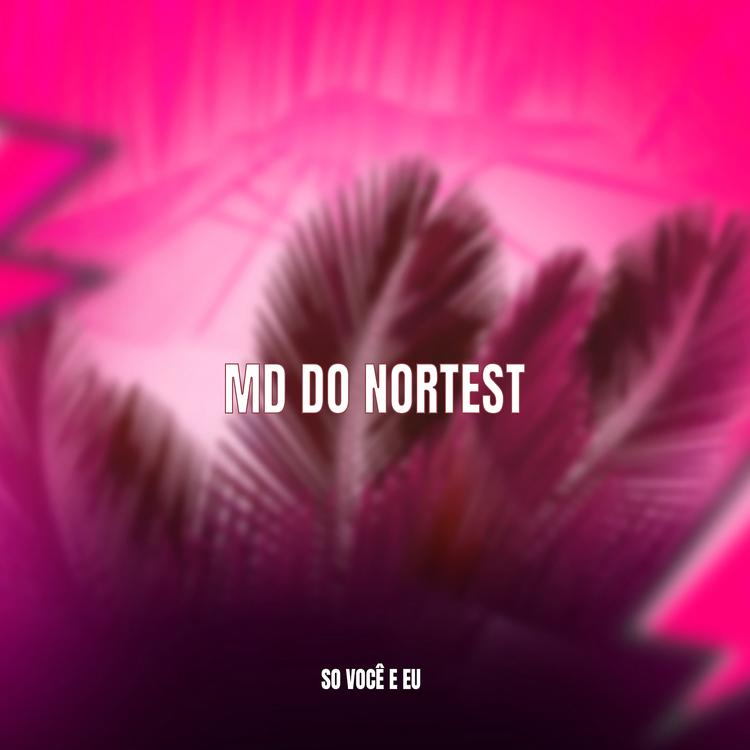 MD DO NORDEST's avatar image