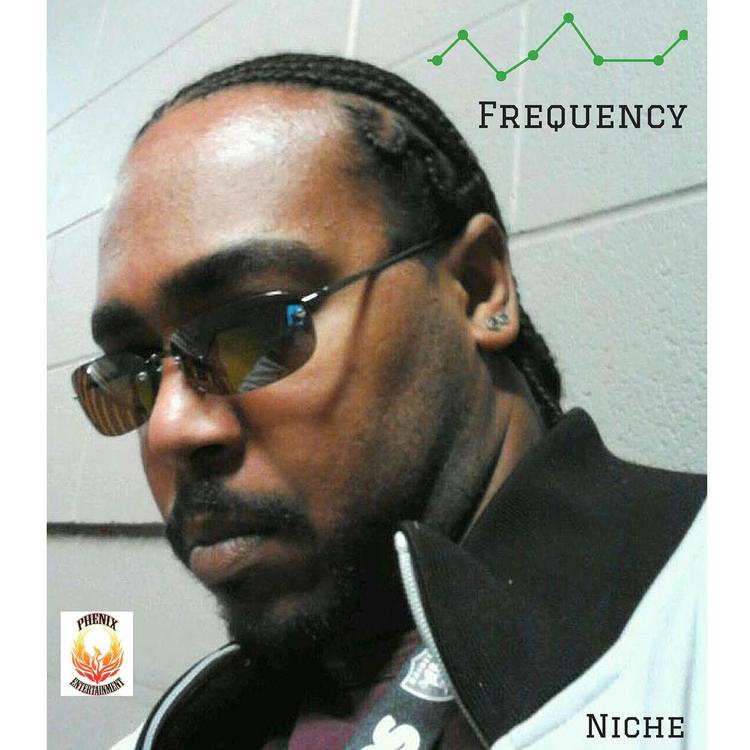 Niche's avatar image