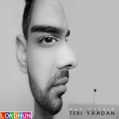 Teri Yaadan By Pav Dharia's cover