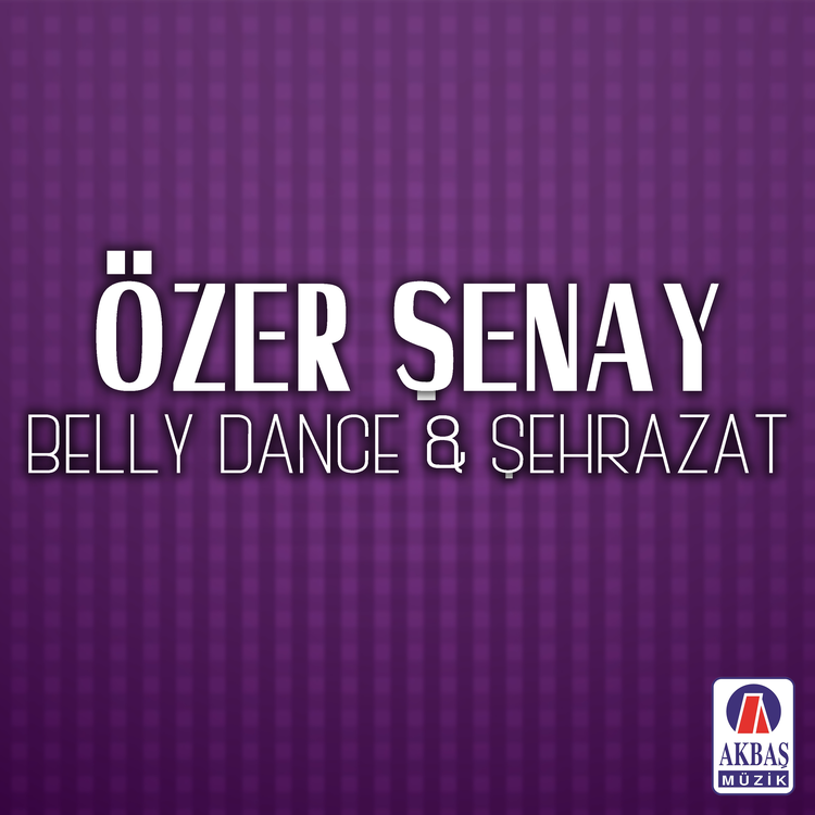 Özer Senay's avatar image