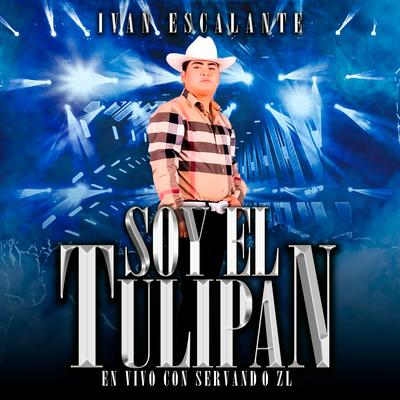 Soy El Tulipán (En Vivo)'s cover