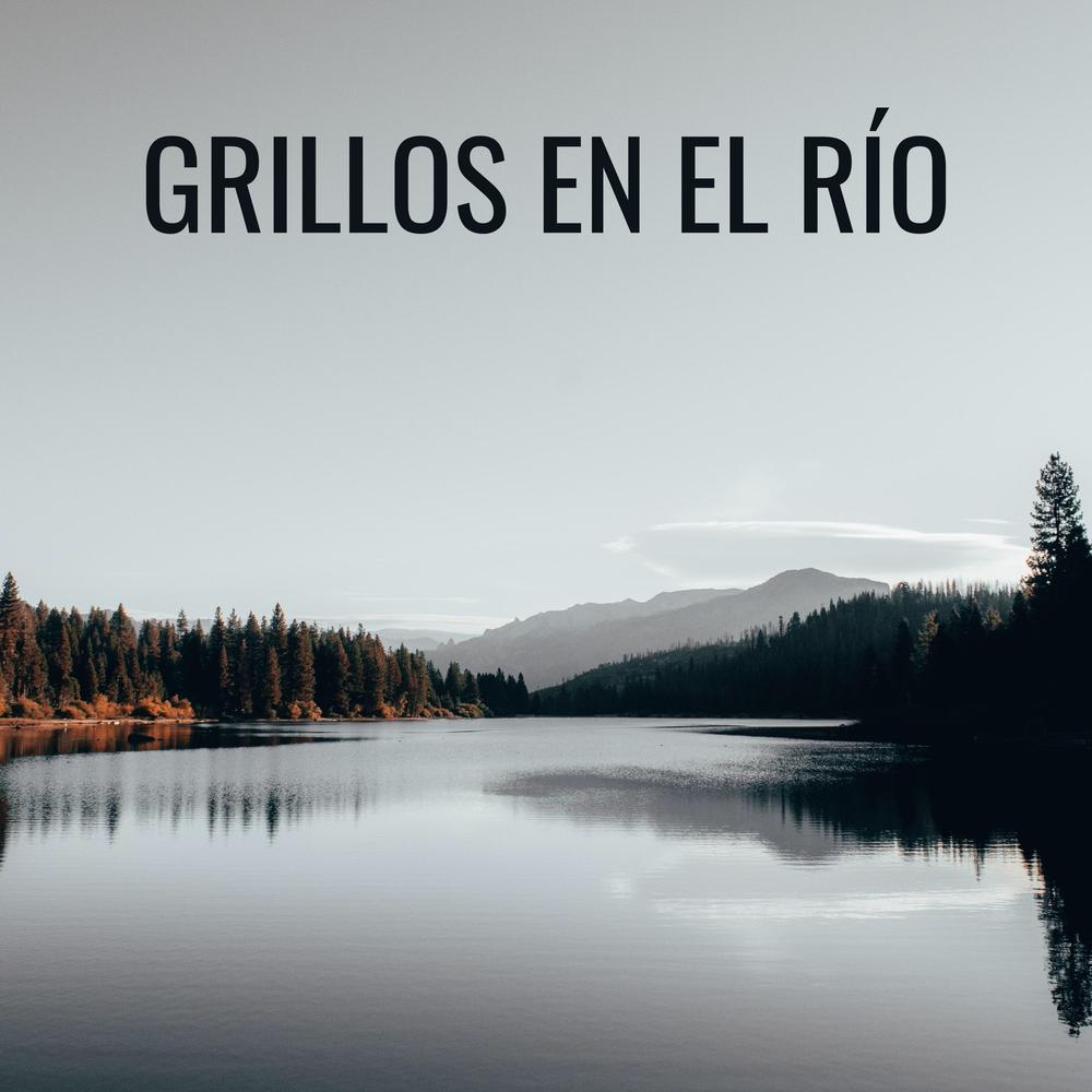 Sonidos Naturales Con Música Relajante: Curación de Río Con Música