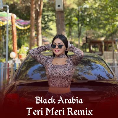 Teri Meri (Remix)'s cover