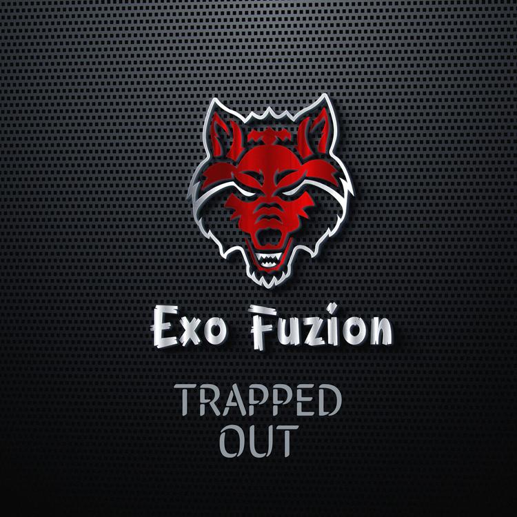 Exo Fuzion's avatar image