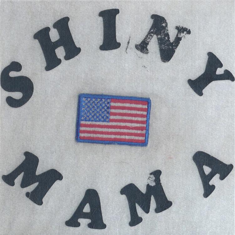 Shiny Mama's avatar image