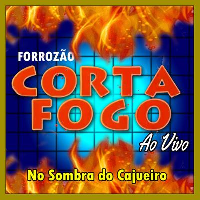 É uma prova que o Brasil sabe dançar - Ao Vivo By Forrozão Corta Fogo's cover