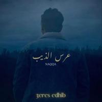 Naqqa's avatar cover