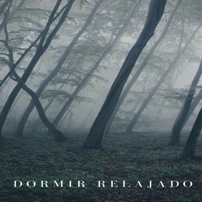 Historias By Musica Para Dormir's cover