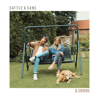 Just The Way You Are By Cattle & Cane's cover