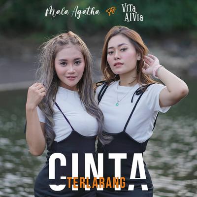 Cinta Terlarang's cover