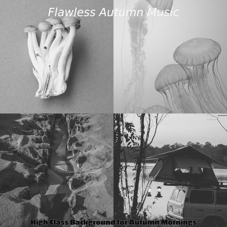 Flawless Autumn Music's avatar image