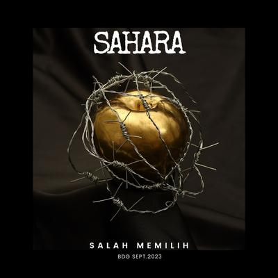 SALAH MEMILIH's cover