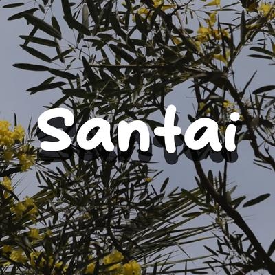 Santai's cover