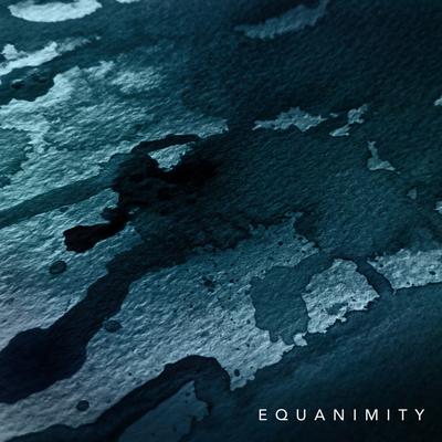 Equanimity By Music Within's cover