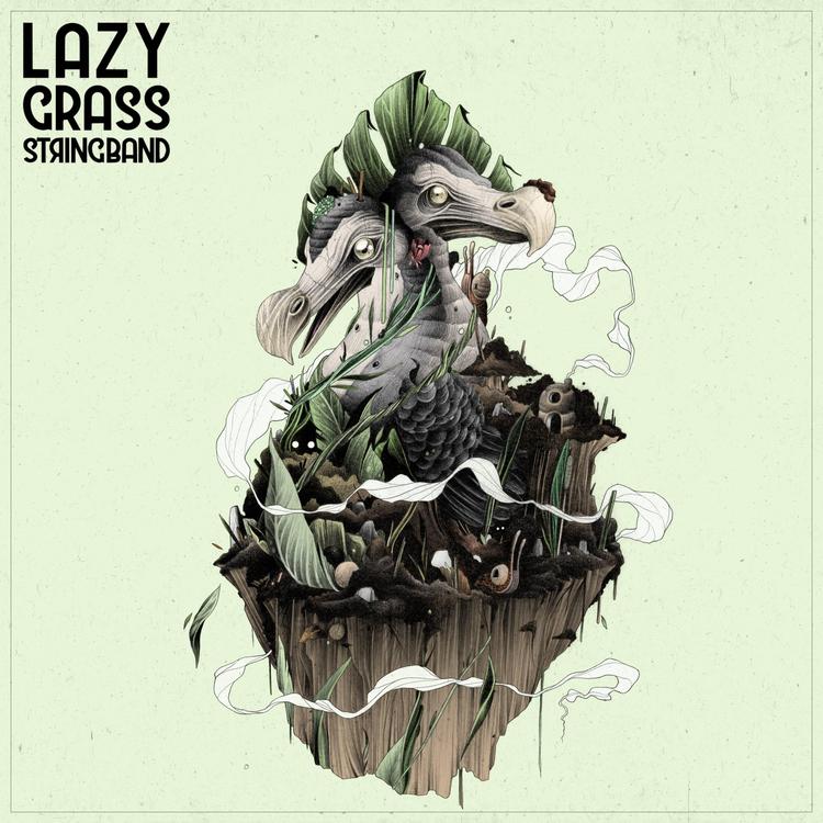 Lazy Grass String Band's avatar image