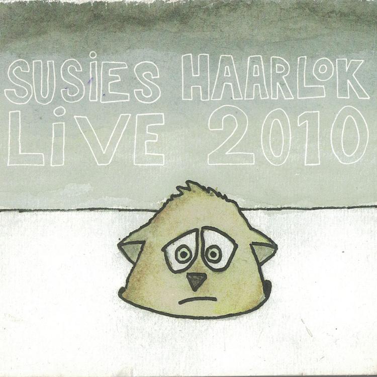 Susies Haarlok's avatar image