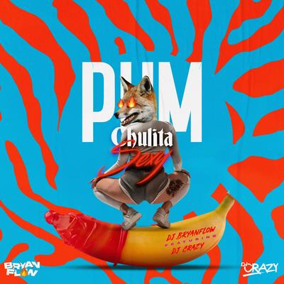 Pum Chulita Sexy (Una Loca en el Tubo) By DJ Bryanflow, DJ Crazy's cover